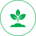 Boosts Plant Growth Icon