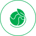 Environmentally Sustainable Icon