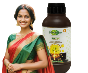 Liquid Fermented Organic Manure (LFOM) Image