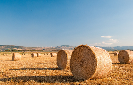 Agro Residue Image