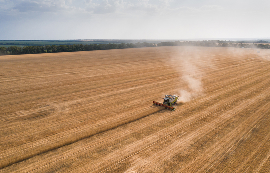 Windrow Composting Image