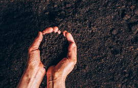 Windrow Composting Image